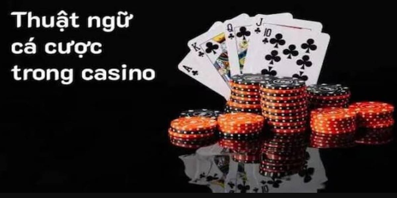 Thuật ngữ casino và thông tin sơ lược khi tham gia cá cược